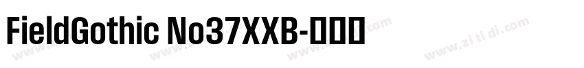 FieldGothic No37XXB字体转换